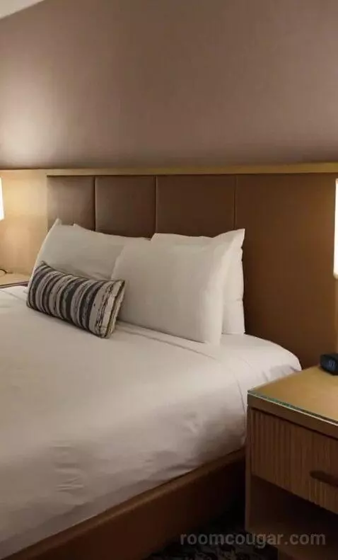 Deluxe King Room (#323) bed picture #12