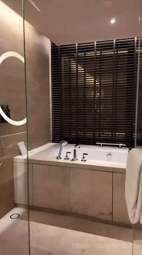Andaz Suite bathroom picture #5