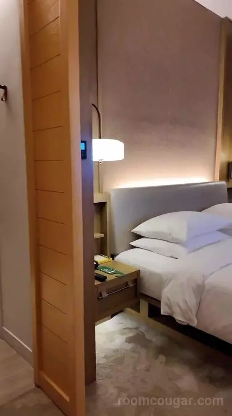 Andaz Suite bed picture #3