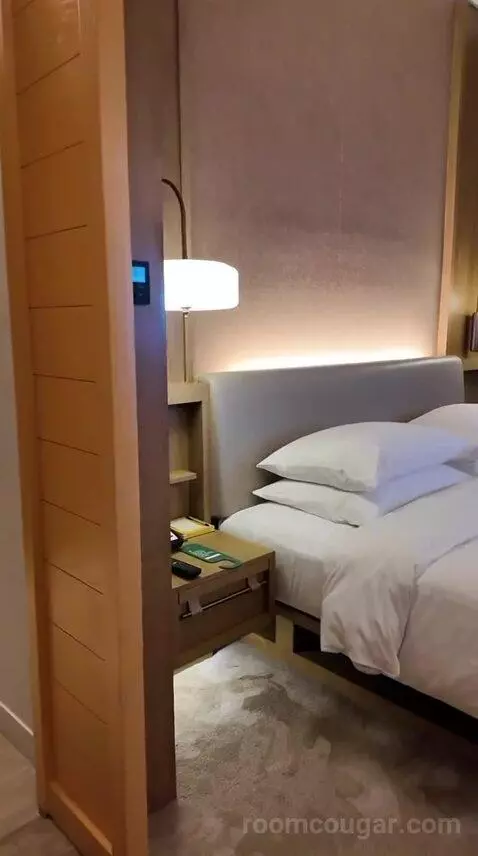 Andaz Suite bed picture #6