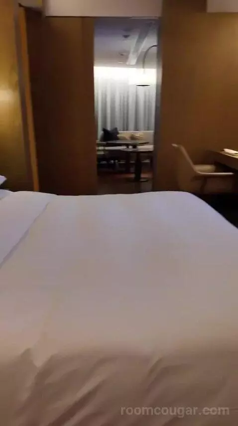 Andaz Suite bed picture #10