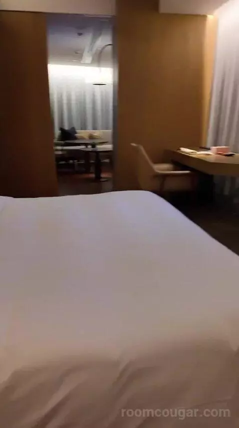 Andaz Suite bed picture #11