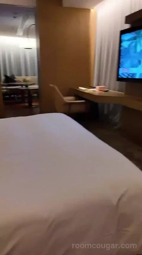 Andaz Suite bed picture #12