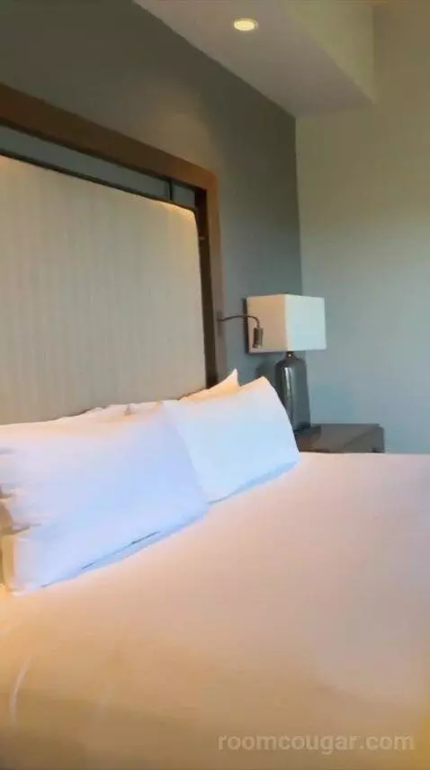 Suite (#355) bed picture #2