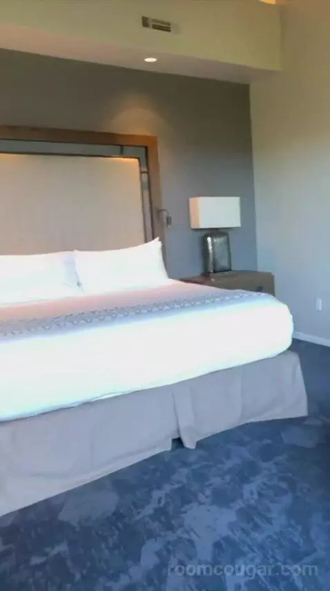 Suite (#355) bed picture #12