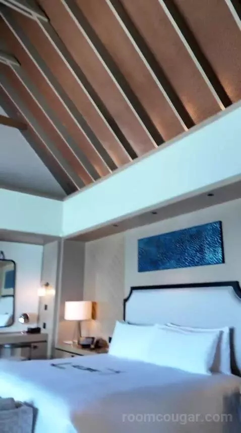 King Overwater Villa (#107) bed picture #5