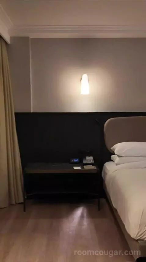 Regency Suite with City View (#303) bed picture #8