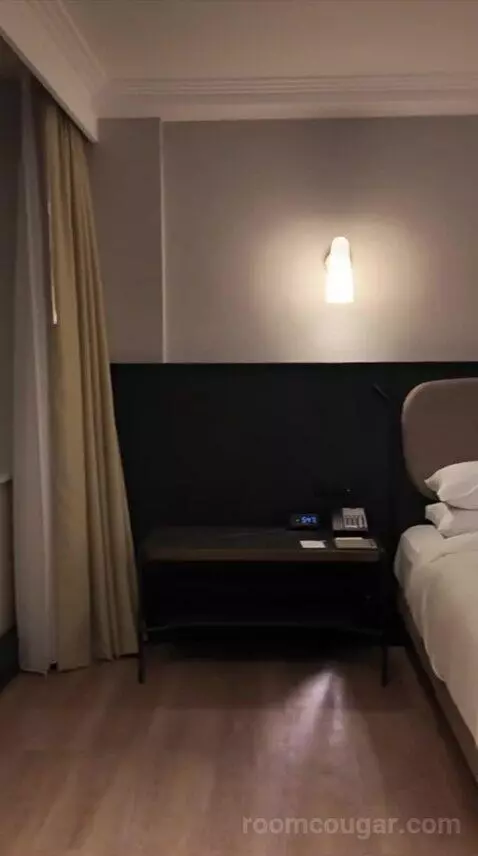 Regency Suite with City View (#303) bed picture #11