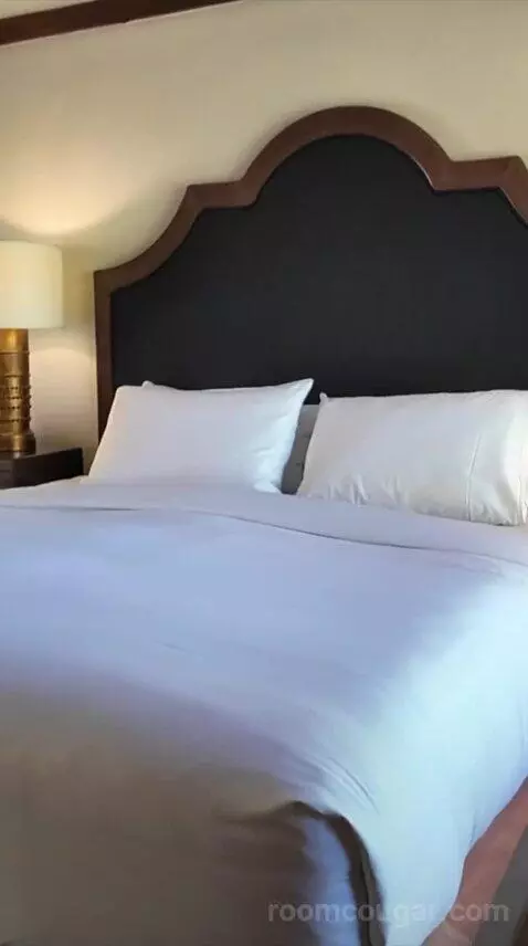 Junior King Suite (#140) bed picture #1