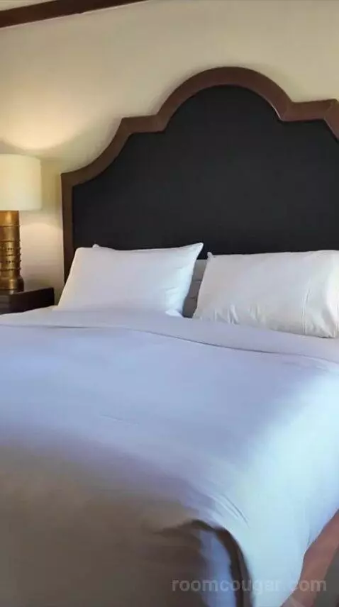 Junior King Suite (#140) bed picture #2