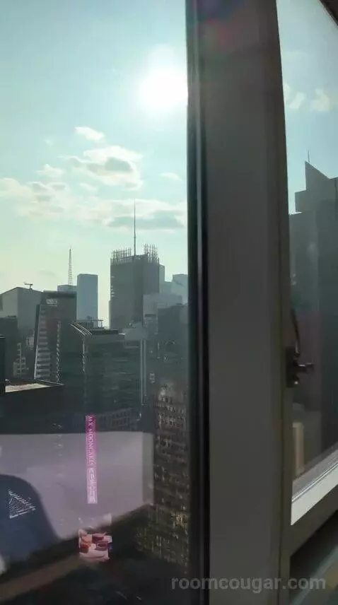 King Suite with Skyline View - High Floor (#4804) view picture #9
