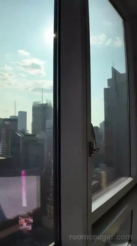 King Suite with Skyline View - High Floor (#4804) view picture #10