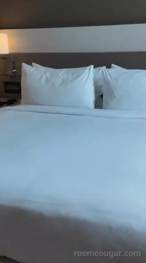 King Room (#603) bed picture #3