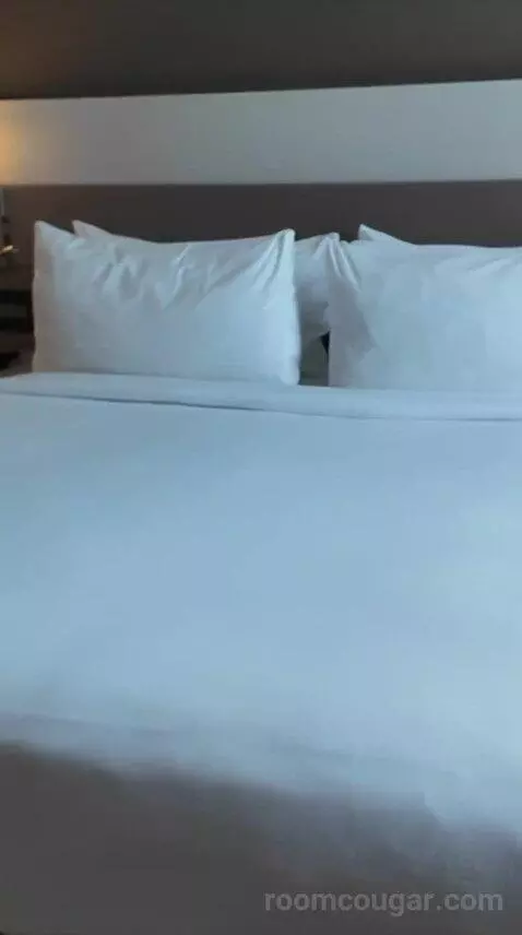 King Room (#603) bed picture #5