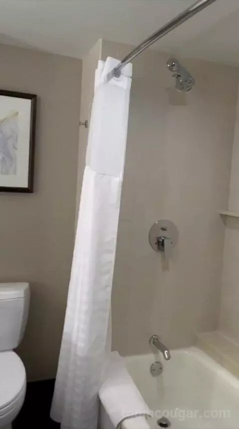 Queen Room with Two Queen Beds (#2216) bathroom picture #1