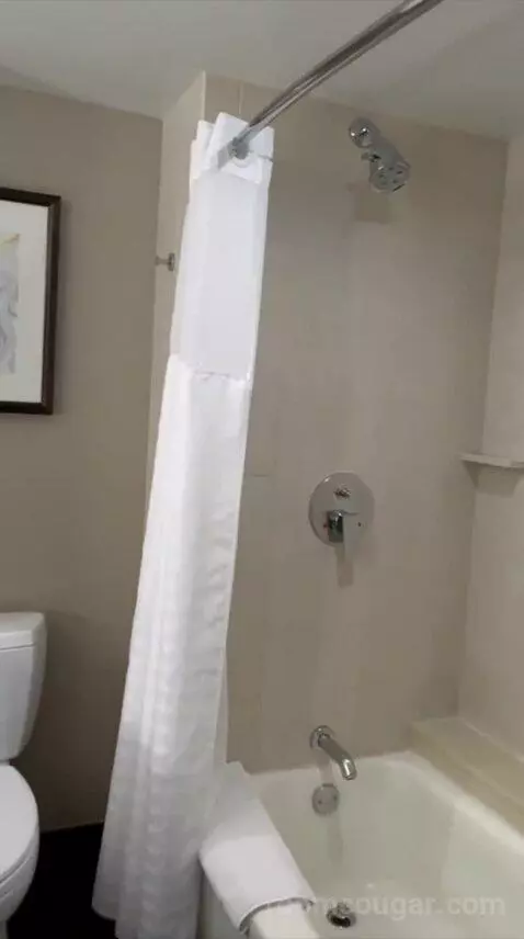 Queen Room with Two Queen Beds (#2216) bathroom picture #2