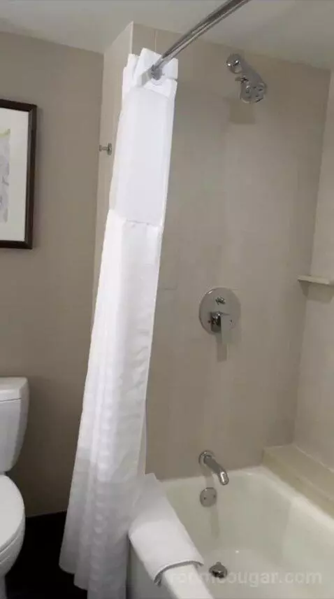 Queen Room with Two Queen Beds (#2216) bathroom picture #6
