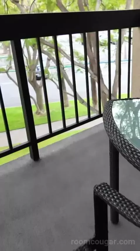 Premier Suite (#852) view picture #2