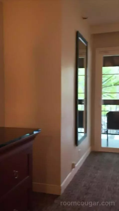 Premier Suite (#852) picture #17