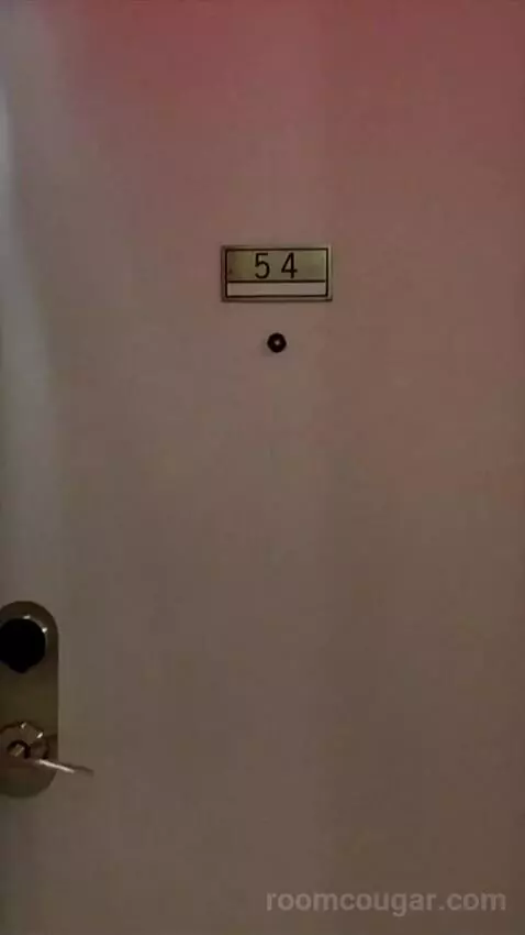 Premium King Room (#54) picture #1
