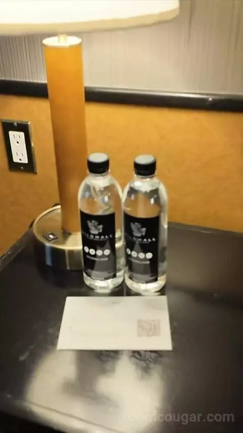 Premium King Room (#54) picture #13