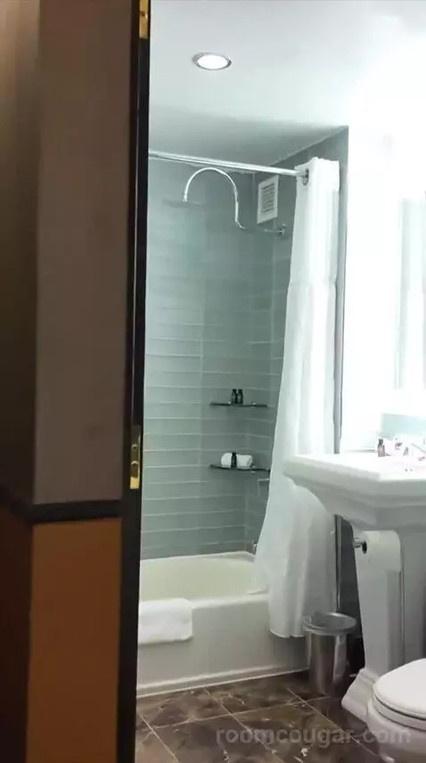 Premium King Room (#54) bathroom picture #2