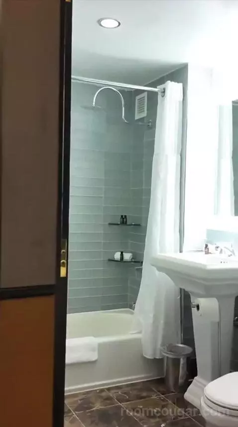Premium King Room (#54) bathroom picture #3