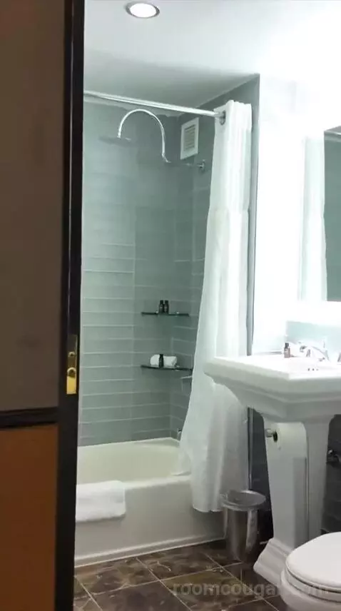 Premium King Room (#54) bathroom picture #4