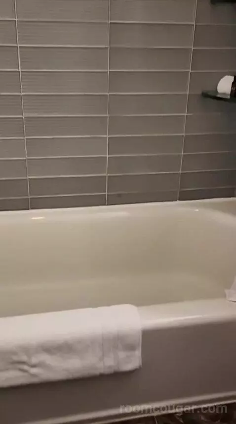 Premium King Room (#54) bathroom picture #6