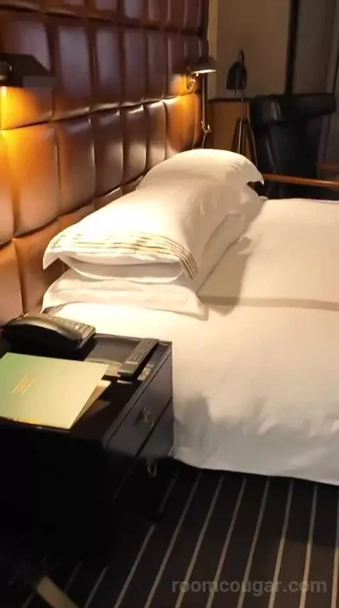 Premium King Room (#54) bed picture #11