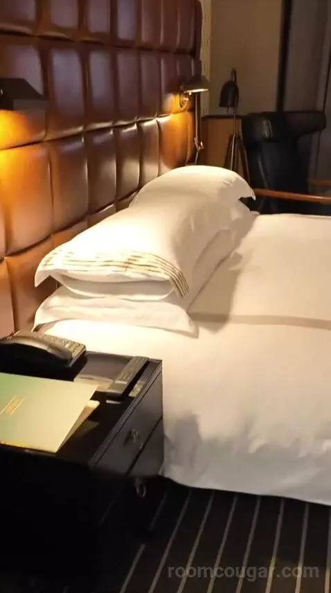 Premium King Room (#54) bed picture #12