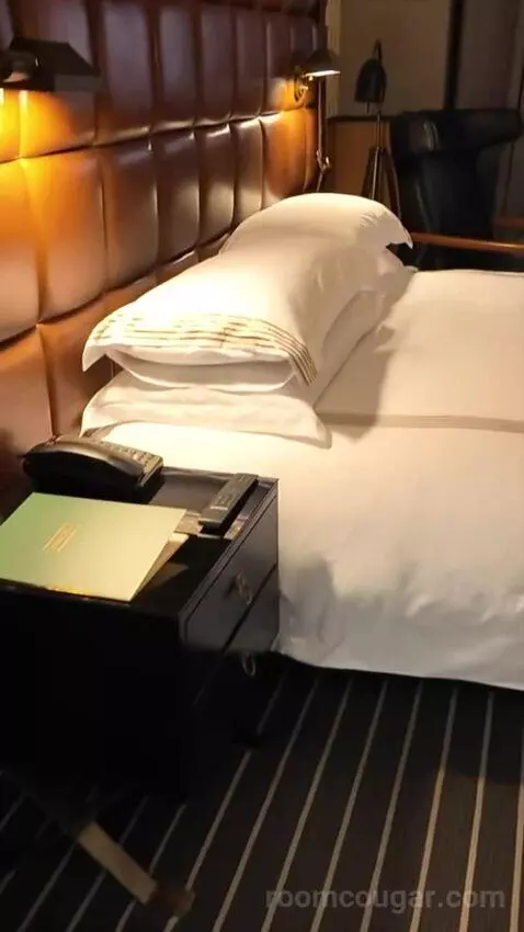 Premium King Room (#54) picture #23