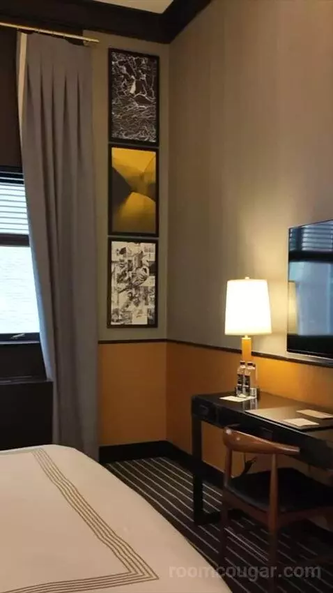 Premium King Room (#54) picture #24