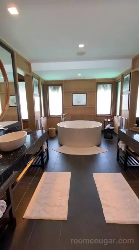 King Overwater Villa (#337) bathroom picture #1