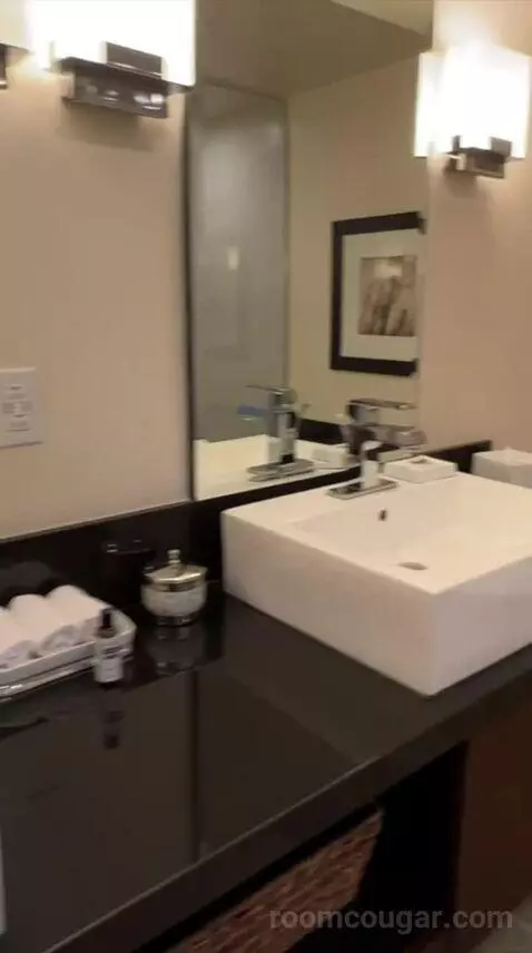 Suite (#5320) bathroom picture #8