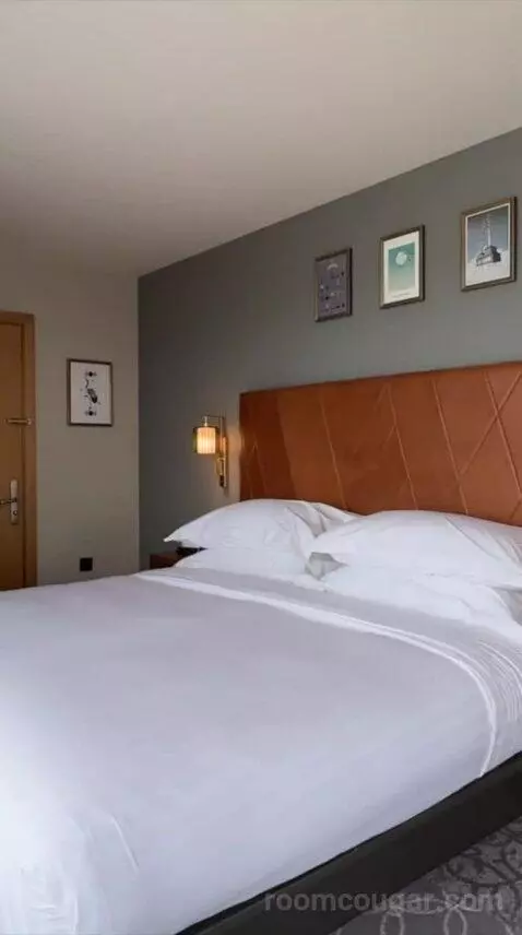 King Suite (#539) bed picture #1