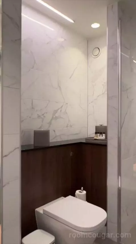 King Suite (#539) bathroom picture #1