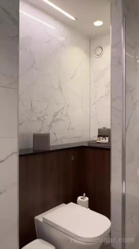 King Suite (#539) bathroom picture #2