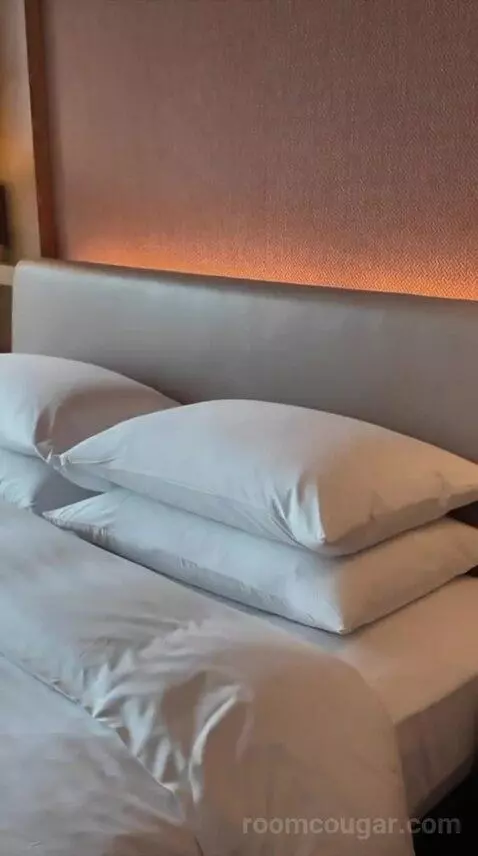 King Room (#2822) bed picture #10