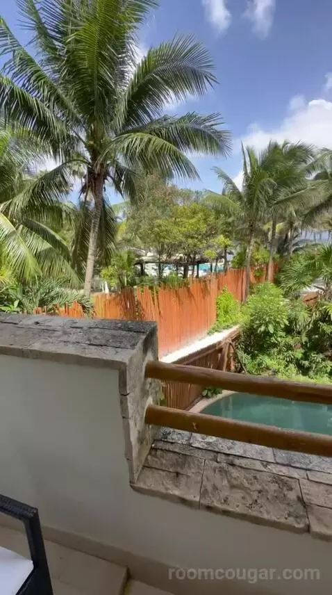 Preferred Suite Tropical View (#3201) view picture #7