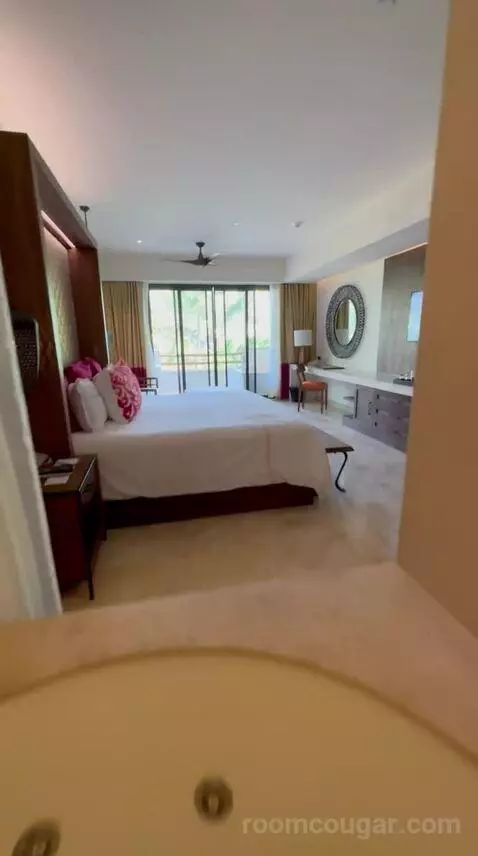 Preferred Suite Tropical View (#3201) view picture #2