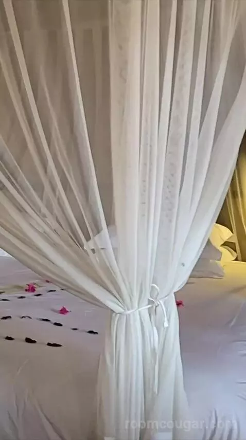 Luxury Bungalow with 2 Game Drives bed picture #5