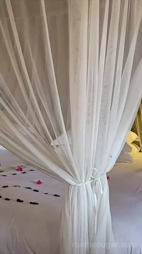 Luxury Bungalow with 2 Game Drives bed picture #6