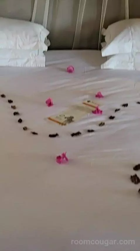 Luxury Bungalow with 2 Game Drives bed picture #9