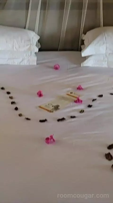 Luxury Bungalow with 2 Game Drives bed picture #10