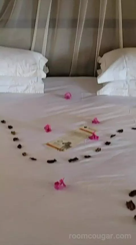 Luxury Bungalow with 2 Game Drives bed picture #11