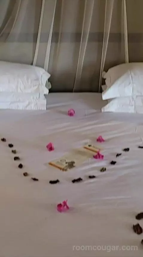 Luxury Bungalow with 2 Game Drives bed picture #12