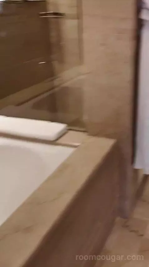Grand King Suite (#452) bathroom picture #6