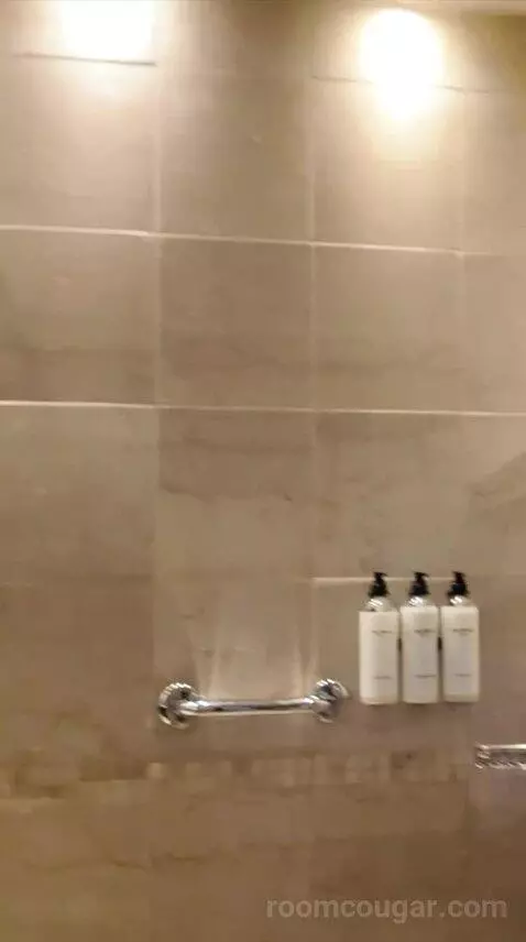 Grand King Suite (#452) bathroom picture #9