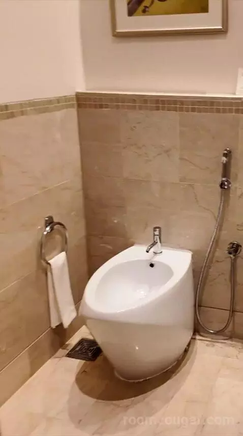 Grand King Suite (#452) bathroom picture #10